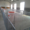 Pig Breeding Use Galvanized Steel Fence with High Quality