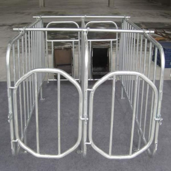 Galvanized Steel Enclosure for Pig Breeding