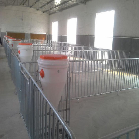 Hot DIP Galvanizing Steel Enclosure for Pig Breeding