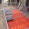 Piglet Nursery Bed and Care Beds for Pig Industry