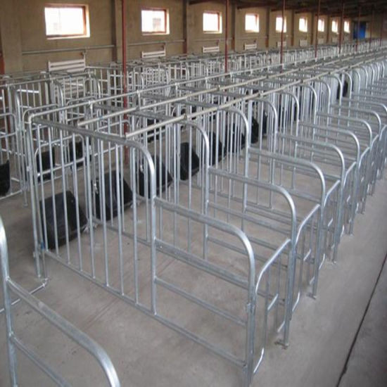 Pig Industry Equipment/Pig Breeding Equipment/ Sow Crate with High Quality